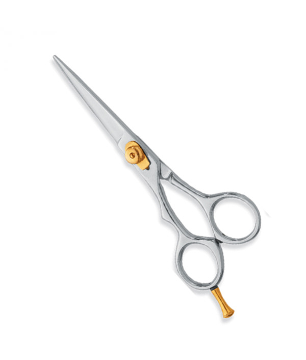 Professional hair Cutting Scissors