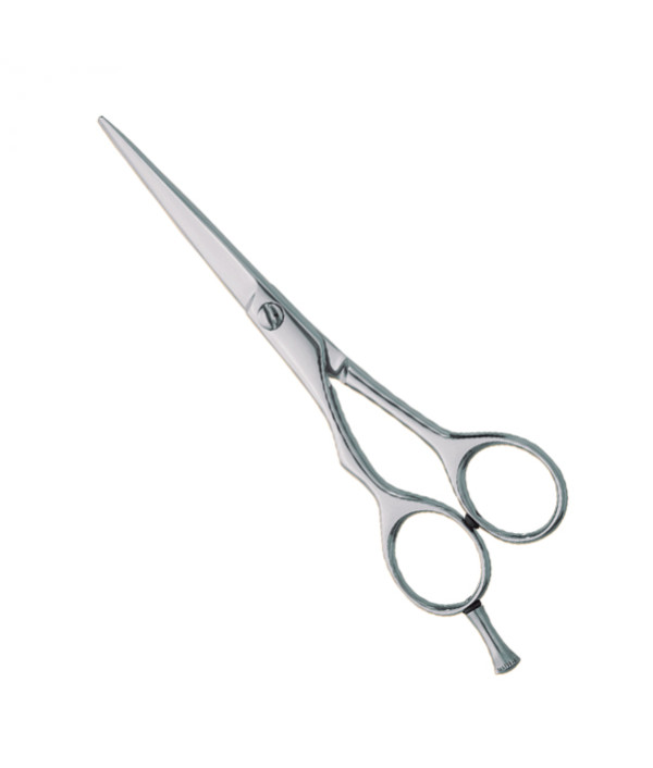 Professional hair Cutting Scissors