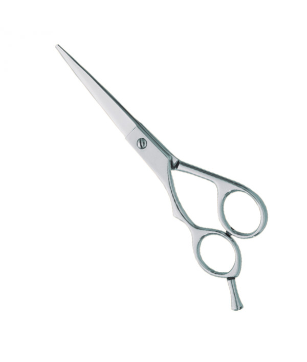 Professional hair Cutting Scissors