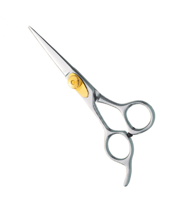 Professional hair Cutting Scissors