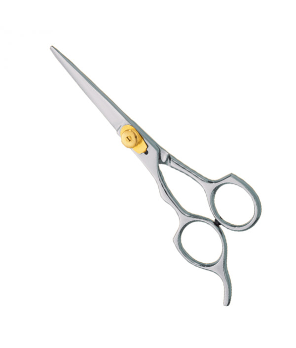 Professional hair Cutting Scissors