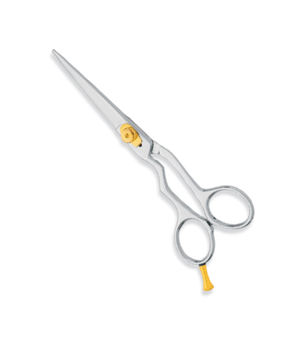 Professional hair Cutting Scissors