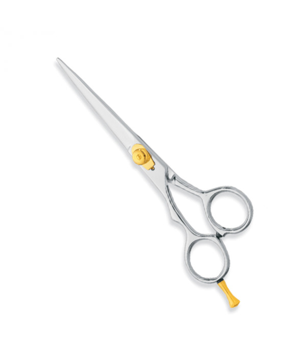 Professional hair Cutting Scissors