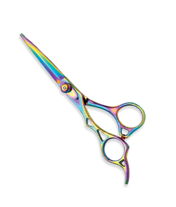 Professional hair Cutting Scissors