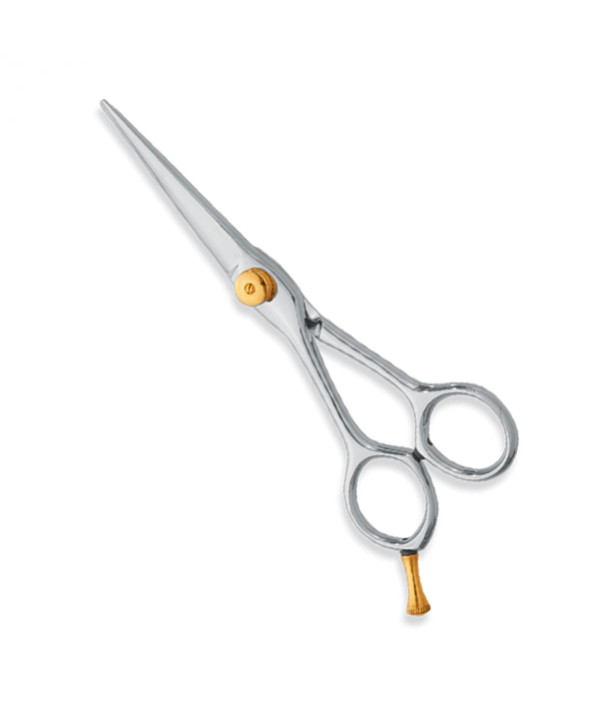 Professional hair Cutting Scissors