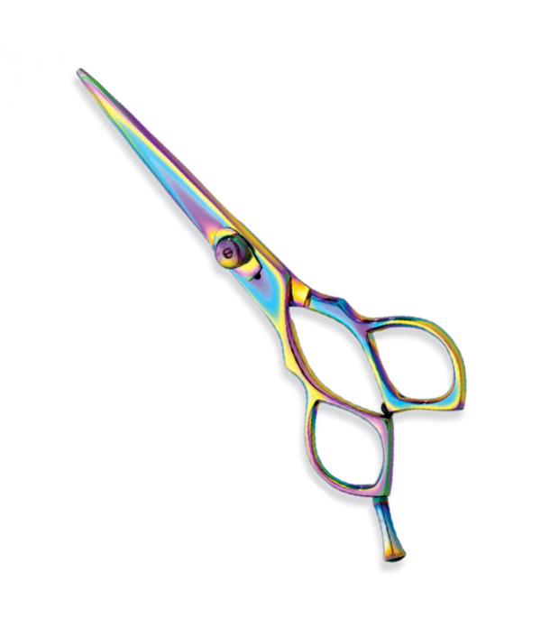 Professional hair Cutting Scissors