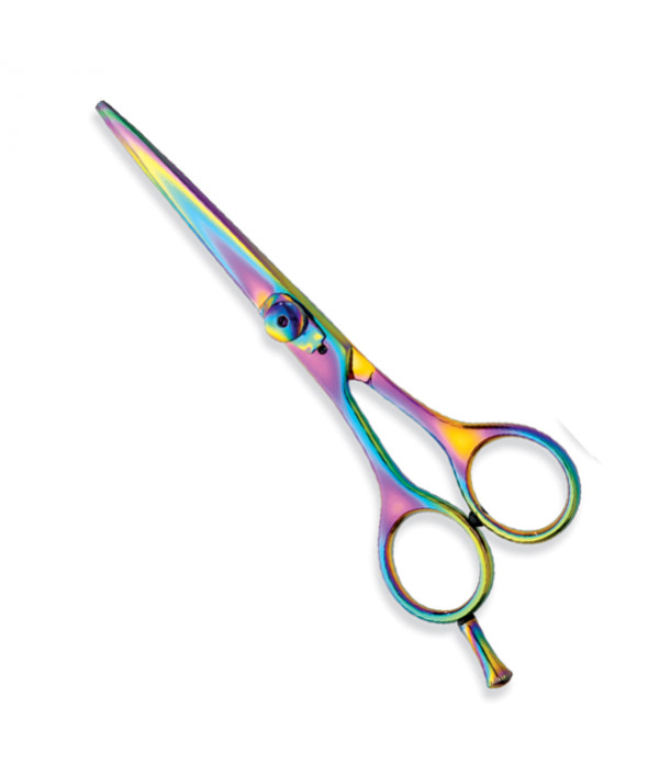 Professional hair Cutting Scissors