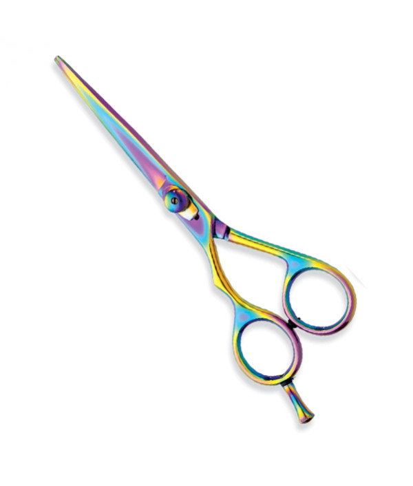 Professional hair Cutting Scissors