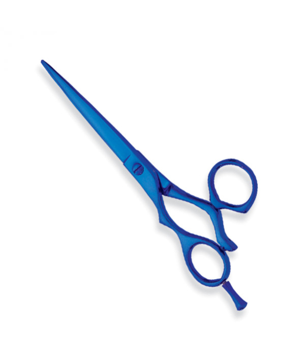 Professional hair Cutting Scissors