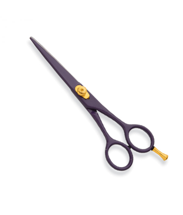 Professional hair Cutting Scissors