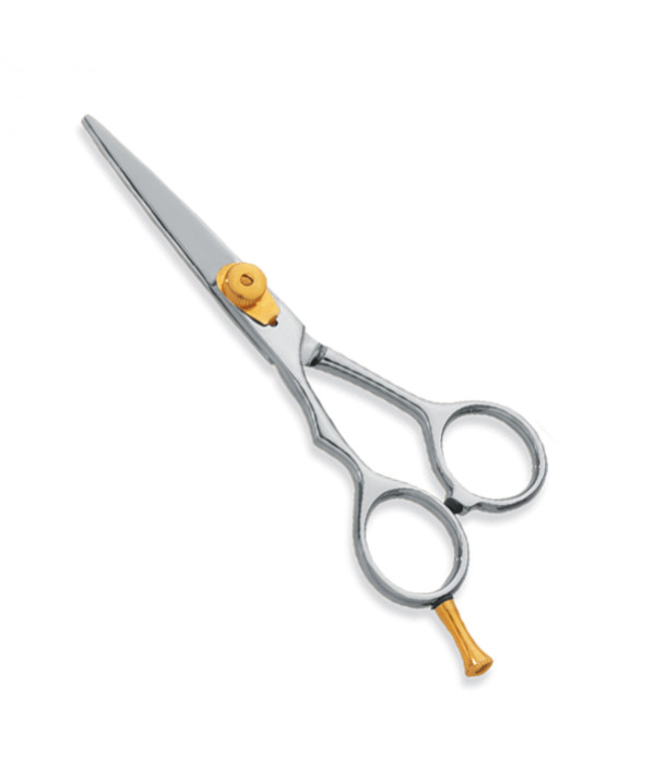 Professional hair Cutting Scissors