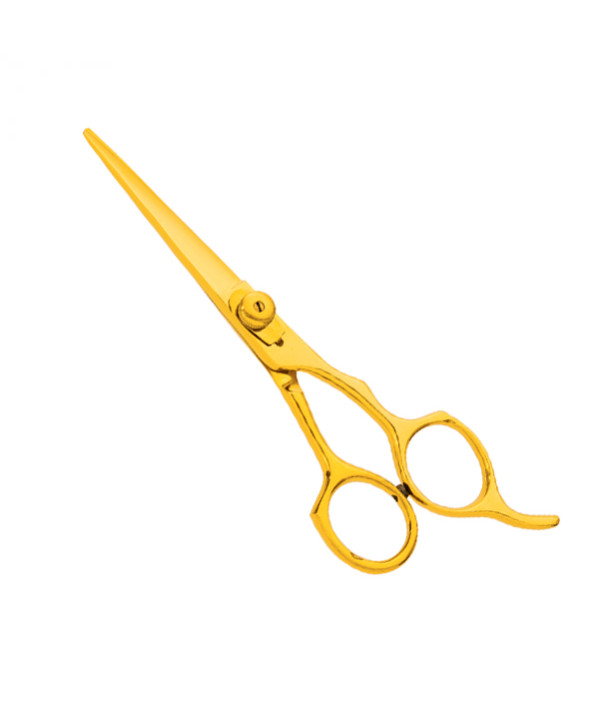 Professional hair Cutting Scissors