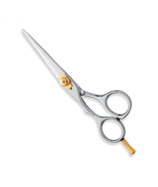 Professional hair Cutting Scissors