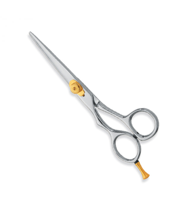 Professional hair Cutting Scissors