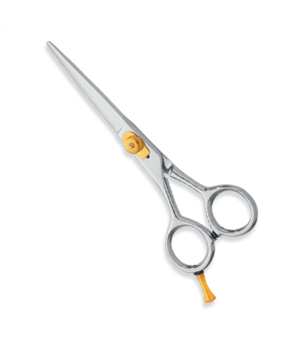 Professional hair Cutting Scissors